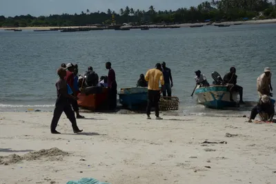 DSC_7617 (Large).JPG